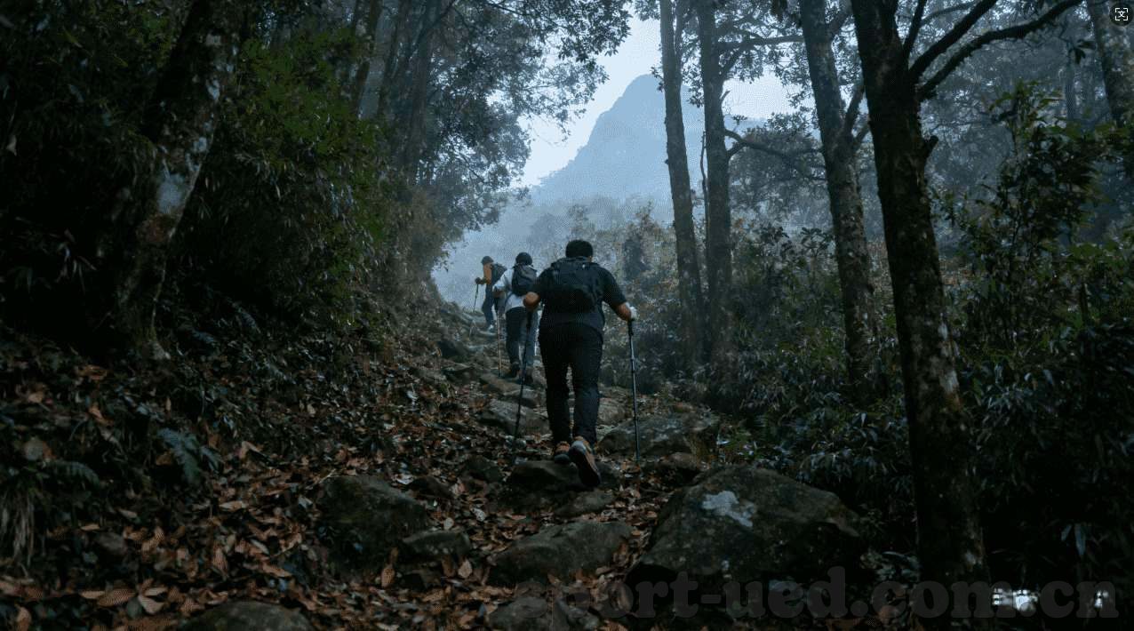 乐鱼体育下载地址源-乐鱼体育下载，安全、可靠且高效的选择