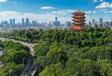 ok竞猜足球比分-OK竞猜足球比分,激情与理性交织的足球盛宴新体验